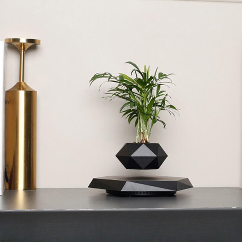 Magnetic Levitation Bonsai: Air-Purifying Ornamental Plant for Home or Office