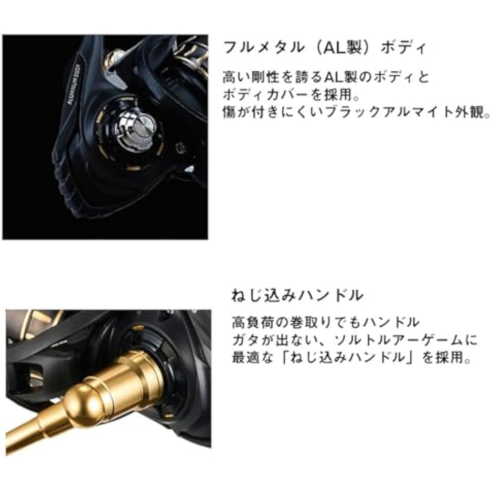 DAIWA (DAIWA) spinning reel 23BG SW 4000D-CXH