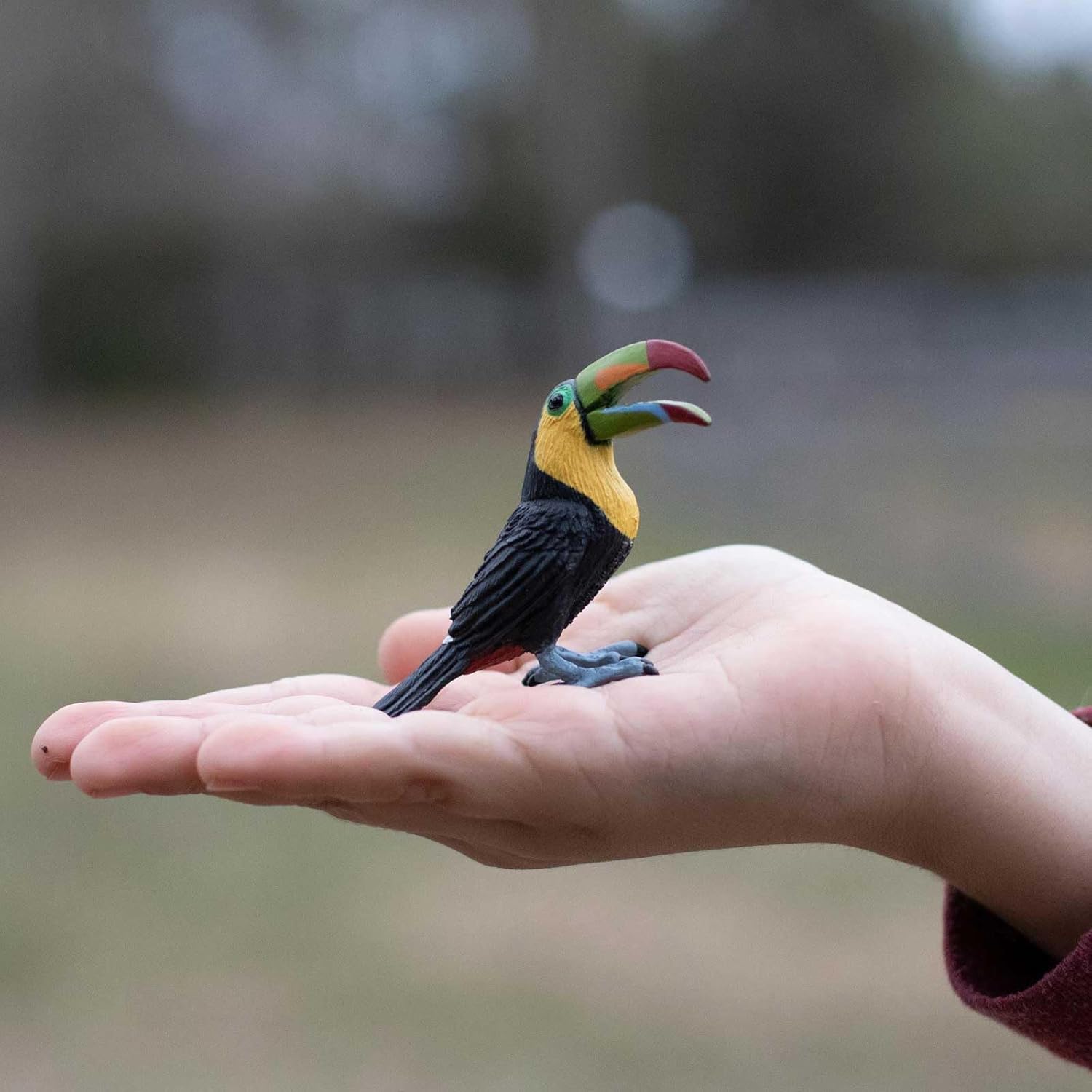 Safari Ltd. Toucan Figurine - Lifelike 2.75 Bird Figure - Educational Toy for Boys, Girls, and Kids Ages 3+