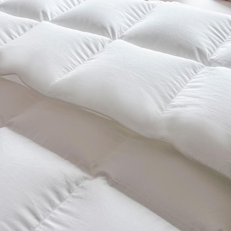 Pierre Paul Luxury 90% White Duck Down Comforter