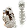 Costum Dinozaur de Pluș Spinosaurus cu Cap de Craniu 3D și Coloană Vertebrală de Pluș Schelet de Dinosaur Purtabil Excelent pentru Deghizări