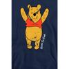 Winnie the Pooh Mens Yay Hoodie