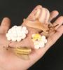 Montessori Wooden Lifelike Insect Animal Life Cycle Board Teaching Plant Animals Growth Cycle Model Set Preschool Cognitive Toy