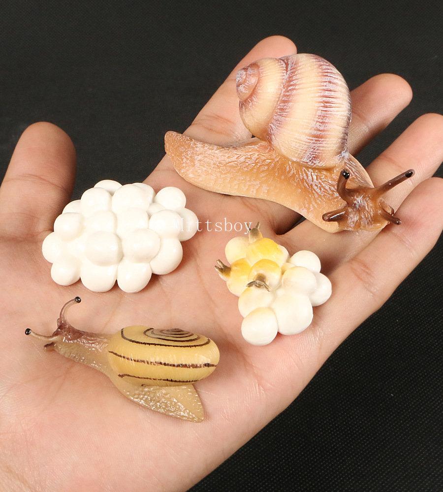 Montessori Wooden Lifelike Insect Animal Life Cycle Board Teaching Plant Animals Growth Cycle Model Set Preschool Cognitive Toy