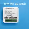 Tuya WiFi Smart Switch: 12V/24V Constant Voltage with WiFi and 433 Remote Control for Door Lock or Light Modification
