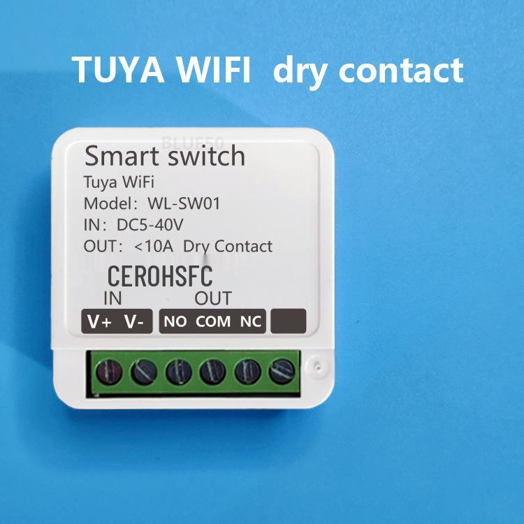 Tuya WiFi Smart Switch: 12V/24V Constant Voltage with WiFi and 433 Remote Control for Door Lock or Light Modification