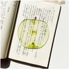 Acrylic Red Apple Bookmark Acrylic Fruit Translucent Student Reading High-quality Bookmark Creative Birthday Gifts for Bookworm