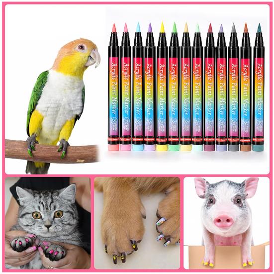 Yousheng 12 Colors Pet Nail Art Pen Set Quick Dry Brush Fun Creative Pet Paw Nail Polish Pens DIY Pet Manicure Supplies for Puppy Cat Small
