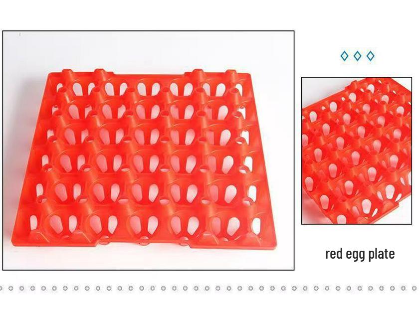

Экологичный ударопрочный пластиковый лоток для яиц на 30 штук - прочный и защищенный от падений для транспортировки на большие расстояния красный