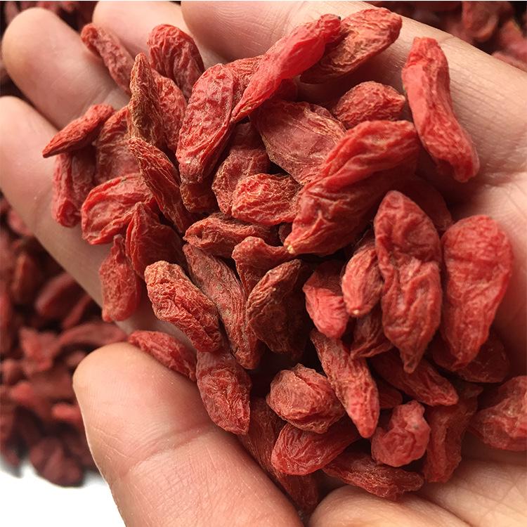 In Stock: Premium Bulk Goji Berries - Large Quantity Available