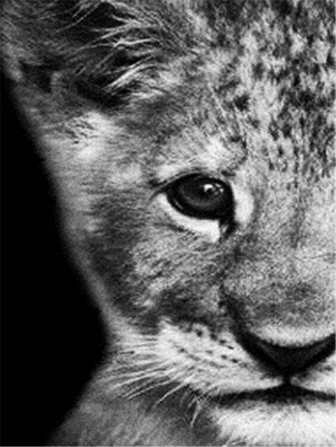 

5D Алмазная вышивка крестиком Волк Алмазная художественная картина черно-белая мозаика подарок ручной работы Full Round 20X30CM красный