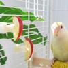 Langlebige Plastik Vogel Obstgabel Weiße Vogel Utensilien Papagei Obstgabel Vogelkäfig Gabel Haustier Produkt