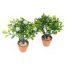 Miniature White Flower Green Plant Potted Ornament Dollhouse Mini Bonsai Model Decoration Micro Scene Layout Pography Props