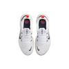 Nike Gratis Rn 5.0 Next Nature Wit Obsidiaan CZ1884-103