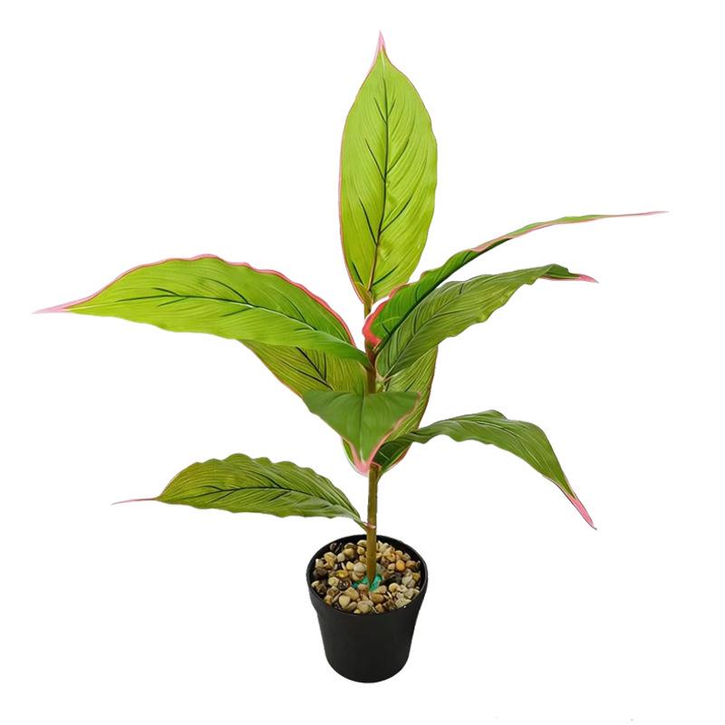 Desktop Rubber Tree & Aspidistra Potted Plant - Bionic Green Landscape Ornament