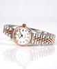 Gaelleogsi 5 Atm Couple Watch Women'S Metal Wristwatch Qt7013Fe
