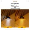 Solar Step Light