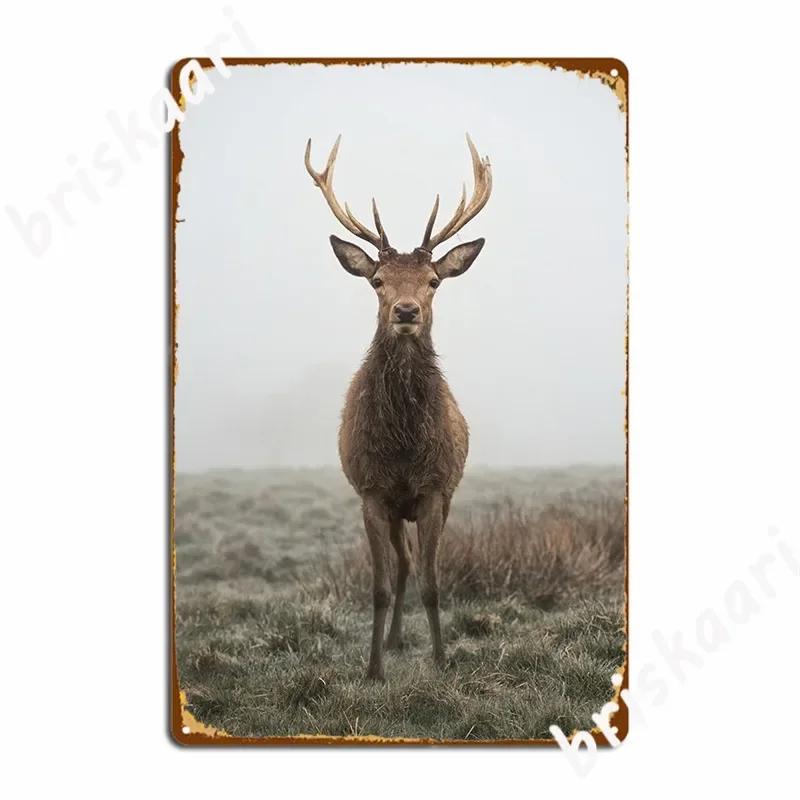 Sweet Solitude Metal Sign Bar Plaques Club Bar Home Print Tin Sign Poster 20X30CM