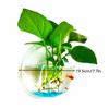 Acrylic Fish Bowl Wall Hanging Aquarium Tank Aquatic Pet Supplies Pet Products Wall Mount Fish Tank for Betta&Display Fish