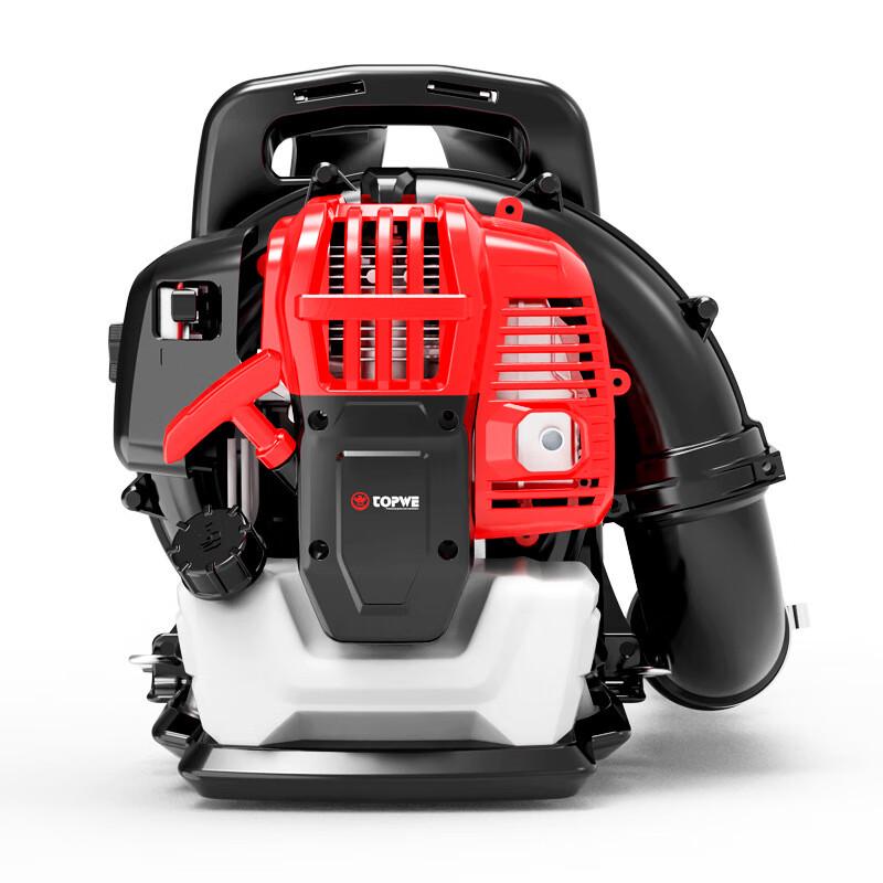 High-Power Multifunctional Backpack Blower CN plug (adapter included)