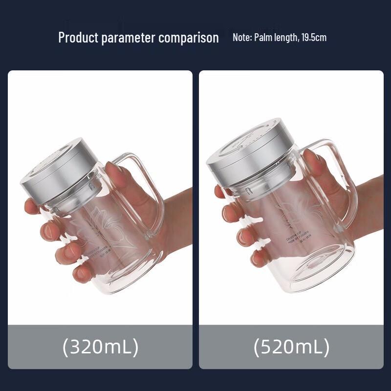 Fuguang Double Wall Borosilicate Glass Tea & Water Bottle with Infuser