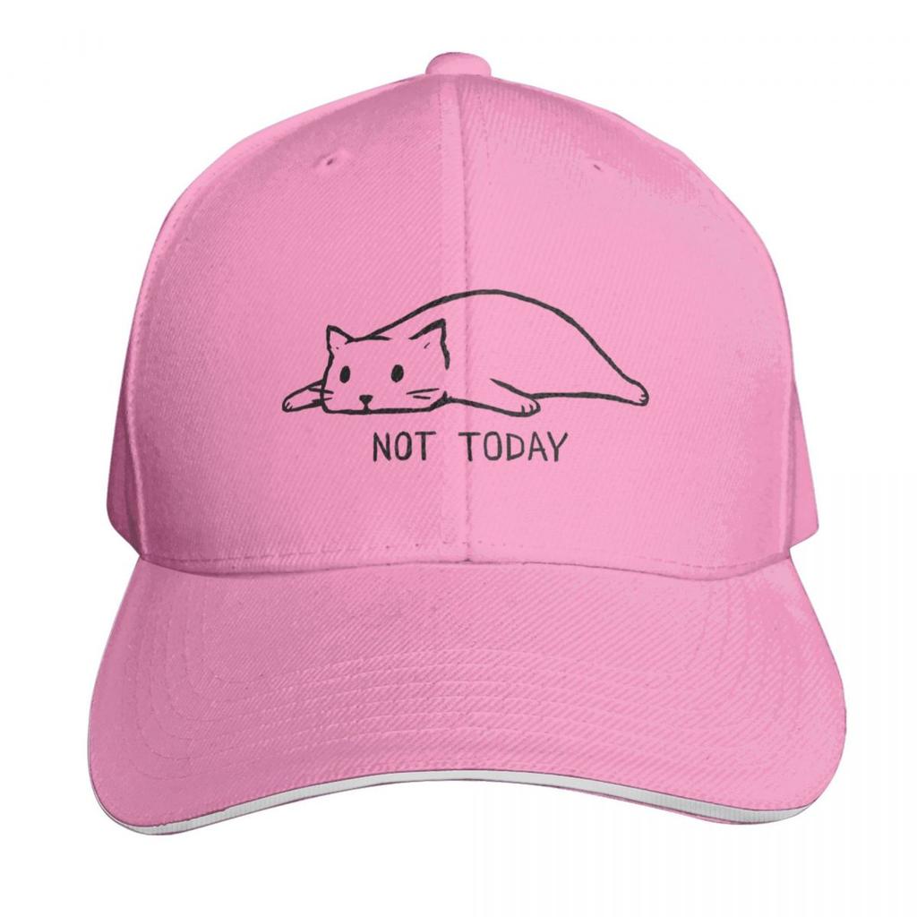 Not Today Baseball Cap Snapback Flat Bill Strapback Dad Hat Six Panel Structured Crown