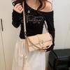 New niche design popular street shot versatile small square bag single shoulder crossbody trendy women's bag