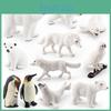Lifelike Arctic Animal Figures Set With Penguin Polar Bear Arctic Fox Seal Wolf And Owl For Collectible Display
