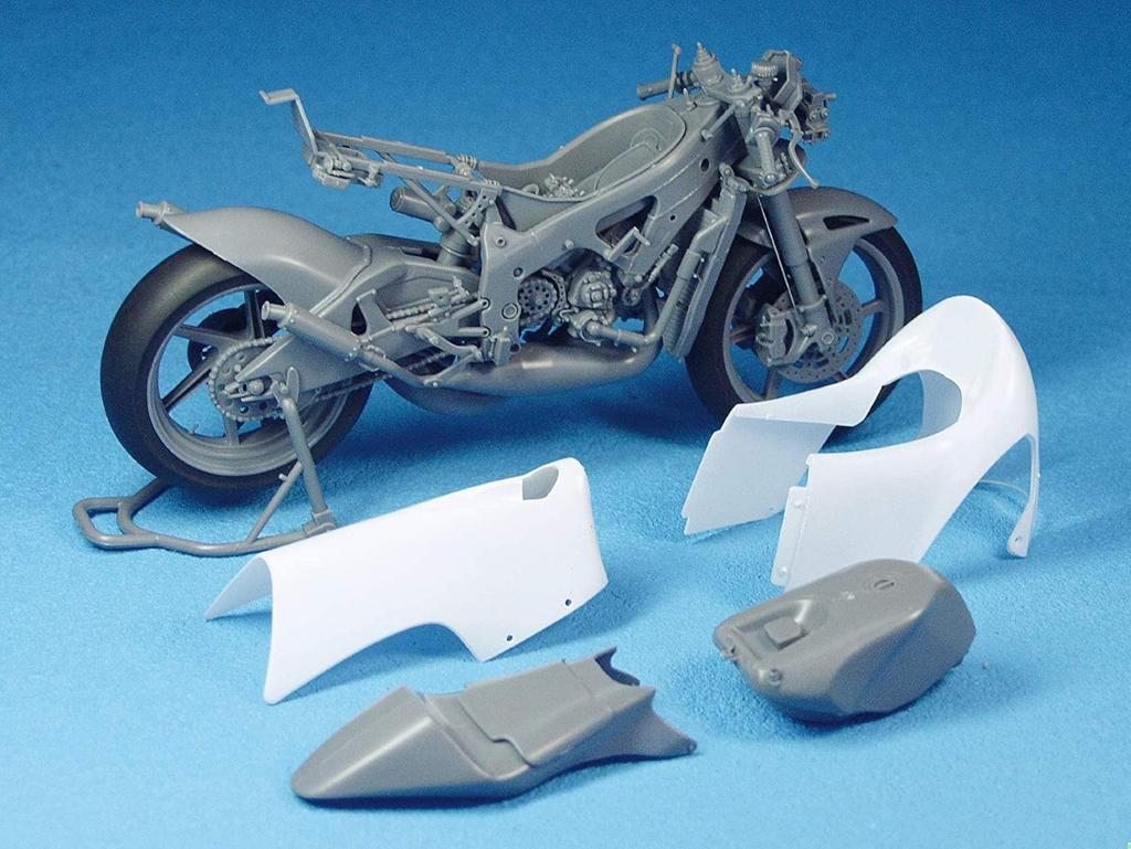 Hasegawa 1/12 Scale Scott Racing Team Honda NSR250RW 2009 WGP250 Champion Plastic Model Kit, BK1