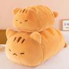 Orange Cat Hugging Pillow - Soothing Sleep Doll & Lumbar Support for Bed or Sofa (Perfect Birthday Gift)