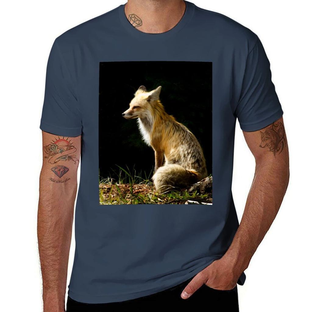 Red Fox Vixen 4226 TShirt Soft AntiShrink Cotton Tee TShirt