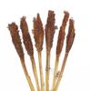 Cantal Grass Bunch Chocolate - Set of 6