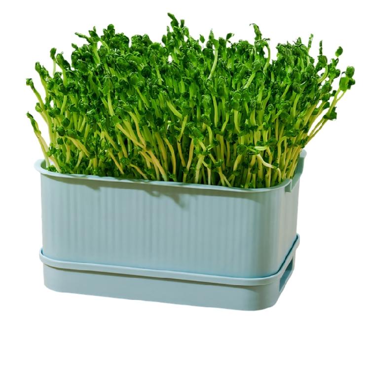 Modern Hydroponic Planter Box Bean Sprouter With Lid Cultivation Germination Tray For Bean Pea Wheatgrass Growing Plant
