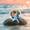 Yousheng Starfish Conch Shell Refrigerator Magnet 3D Ocean Beach Fridge Magnet Home Kitchen Office Decoration Summer Birthday