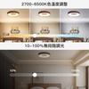 Elekeed LED Ceiling Light, 10-tatami Mat (approx. 22 Sq Ft), 4800lm, Stylish Wood Grain Finish, Dimmable, Color Adjustable, Sleep Timer, Memory