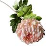 5pcs Artificial Chrysanthemum Flower Branch Faux Silk Pineapple Chrysanthemum with Long Stem for Wedding Floral Arrangement