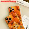 2DFlat Pumpkin Patch Kitten All inclusive film hard iPhone case, compatible with iPhone 18 Pro Max 17 16 15 14 13 12 11