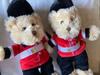[USED] Teddy Bear 2