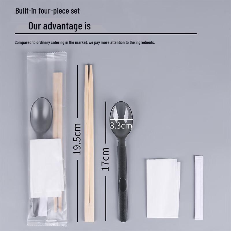 Xinjingzhou Disposable Picnic Tableware Set