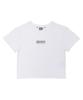 BEN DAVIS Original Stretch Crop Tee Black