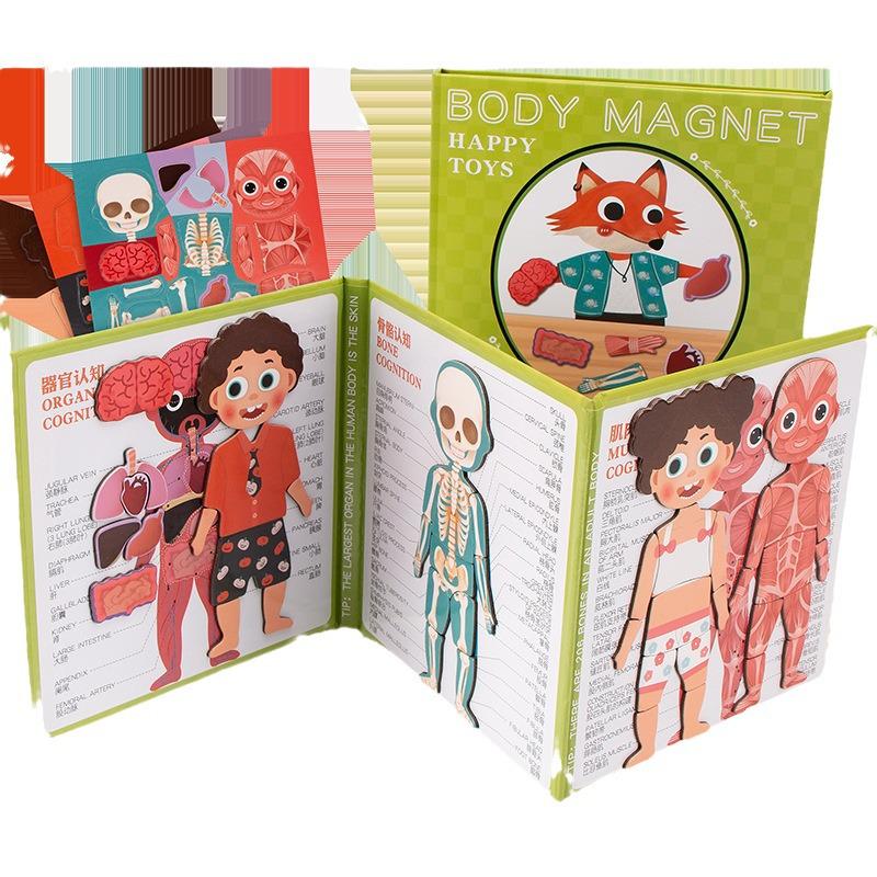 Magnetic Human Body Learning Book: Skeleton & Organs for Kids