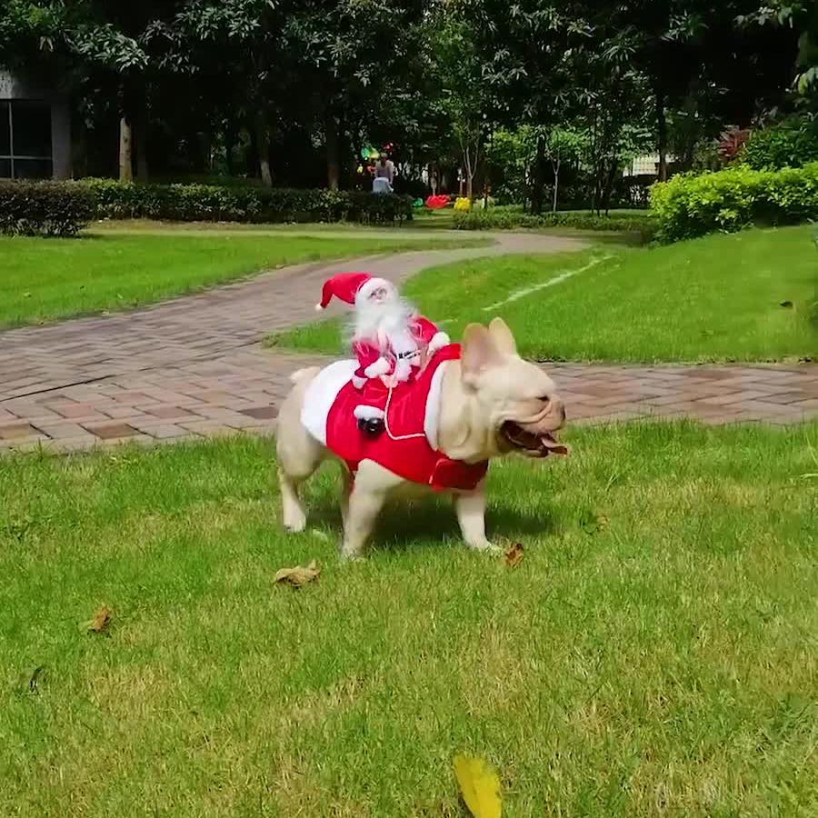 Christmas Pet Costume Funny Santa Claus Costume Clothes Dog Cat Novelty Clothes
