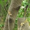 1Pc Leather Cover Stainless Steel Wire Saw Wilderness Survival Outdoor Camping Hike Mini Hand Pulled Rope Saw Survival Equipment