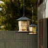 Transparent Bird Food Dispenser Squirrel Proof Bird Feeding Station Bird Food Container  Yard