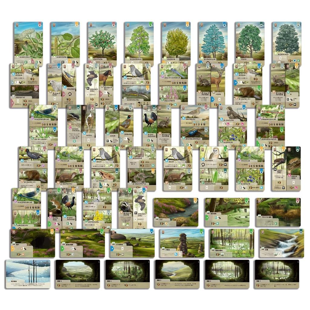 Card Game Forest Dartmoor Japanese Version Shuffle