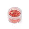 Iridescent Sequin and Glitter Resin Nail Art & Slime Fillers