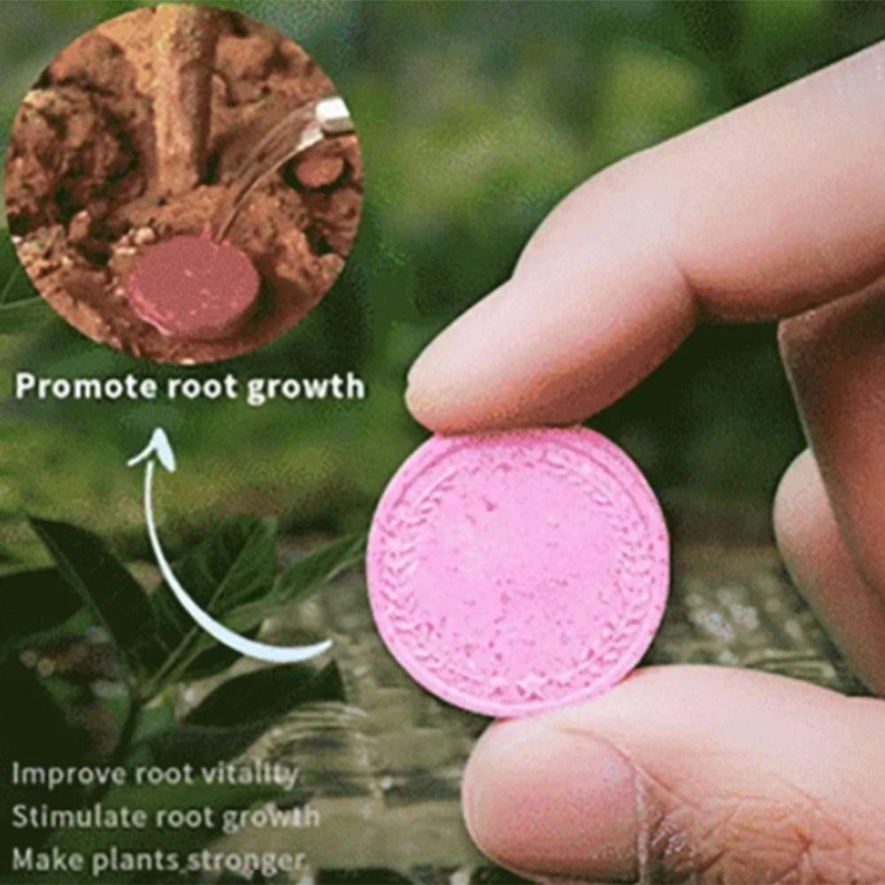 Sustained-release Phosphorus Organic Fertilizer Potassium Growth Slow-Release Tablet Speed Up Slow Release Agent Plants Potted XXS