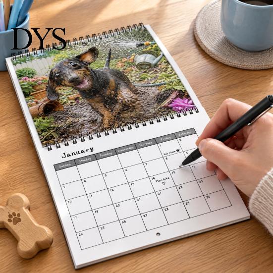 Thick Paper Activity Tracker Naughty Dachshunds Wall Calendar 2027, Funny Sausage Dog 12-Month Calendar, Hilarious Lover Gift Ideas Monthly