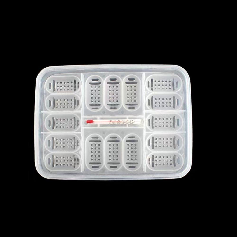 Transparent Turtles Egg Incubator Tray with Thermometer Crawler Incubation Case  Gecko
