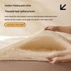 Nanjiren A-Class Antibacterial 100% Xinjiang Cotton Quilt